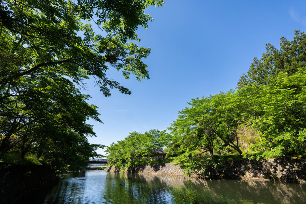 京北地域の川ではあちこちでホタルを観察することができます（京都市右京区）