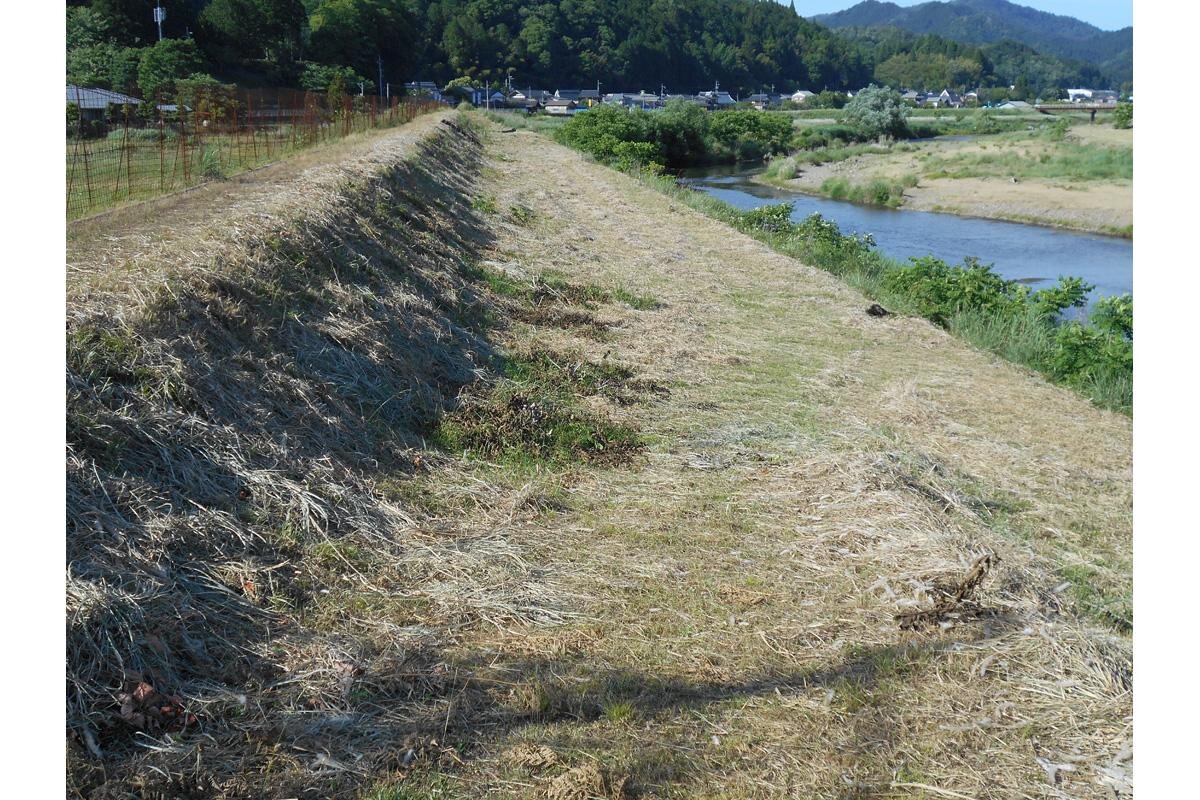 上林川の流域全体でホタルが観察できます（写真は上林川本流）（京都府綾部市）