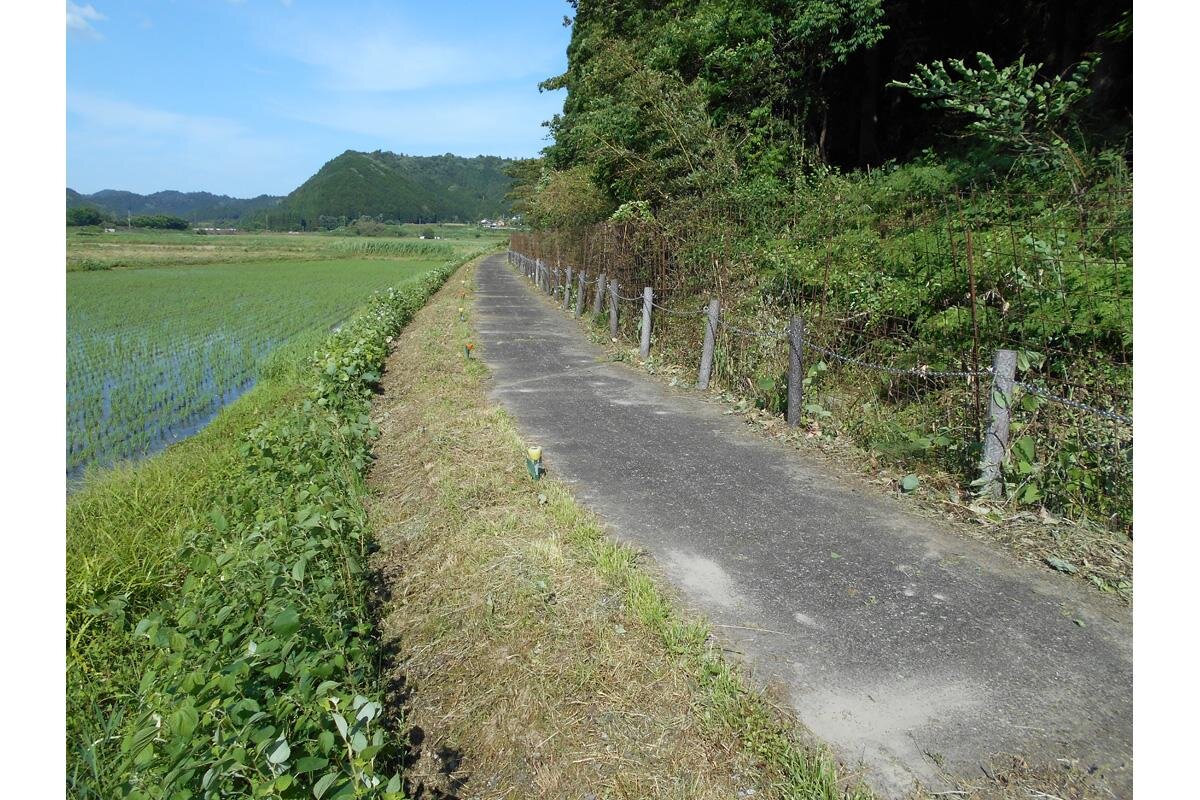 フェンスの右側が“ほたる川”と呼ばれる上林川の支流（京都府綾部市）