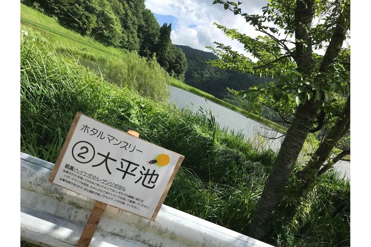 このような場所でホタルが観賞できます（画像は過去のイベント時のものです）「ハチ北高原」（兵庫県香美町）
