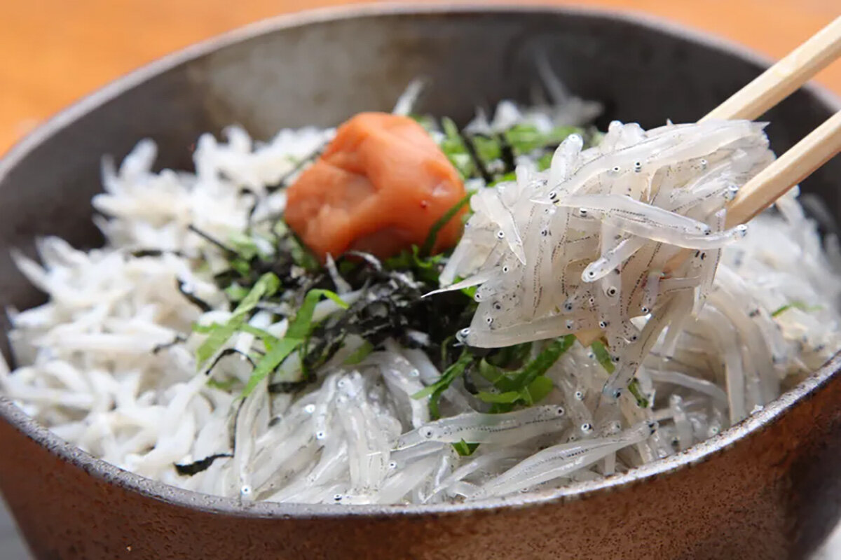 和歌山・和歌浦名物で有名な「生しらす丼」