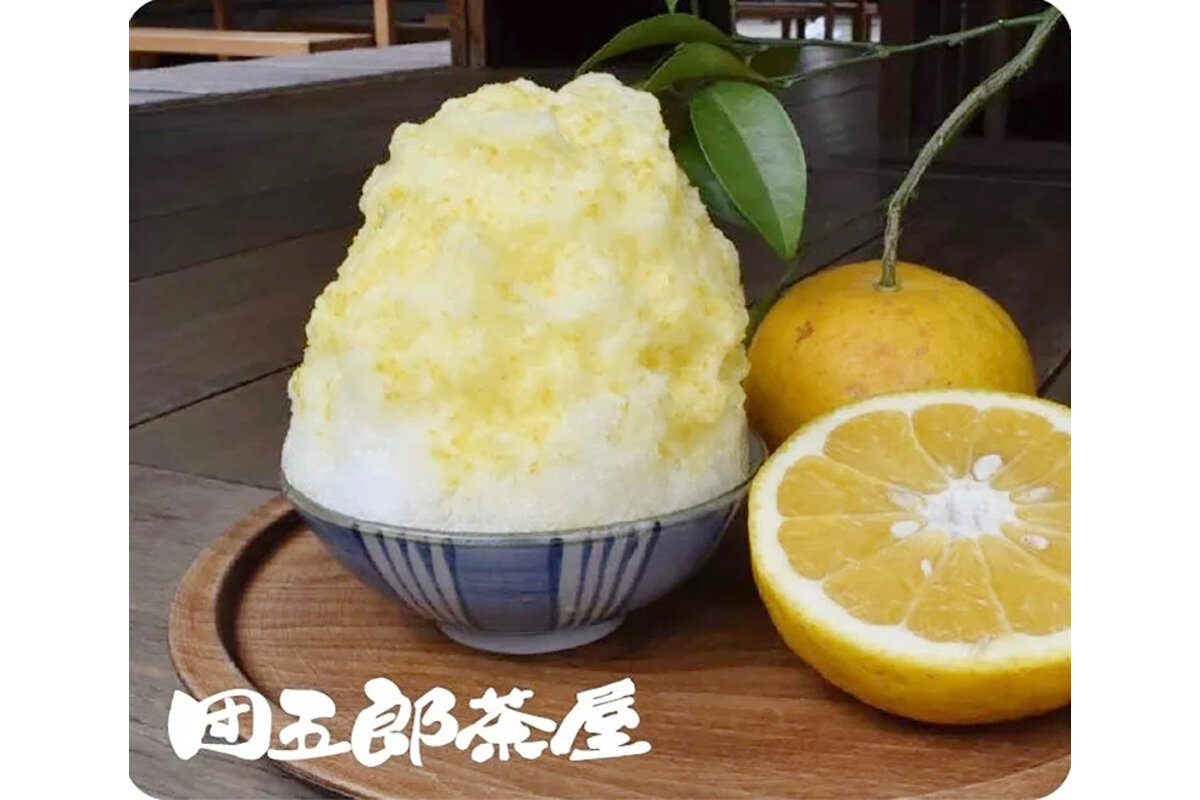 三重県産甘夏の爽やかな甘味とほのかな苦みが魅力、「団五郎茶屋」の木成り甘夏氷（900円）