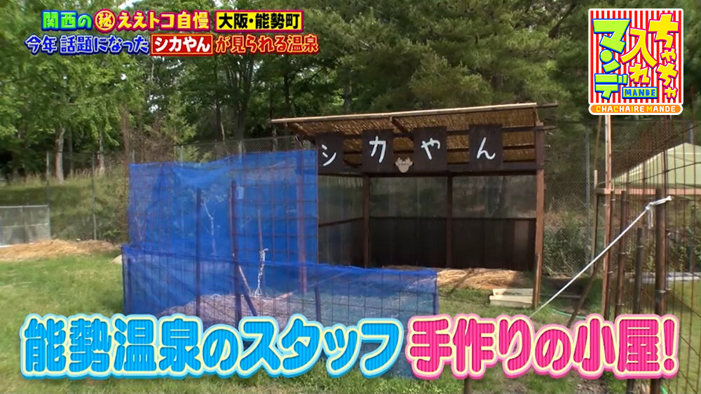 『ちゃちゃ入れマンデー』（7月14日OA）「能勢温泉」のスタッフ手作りの小屋