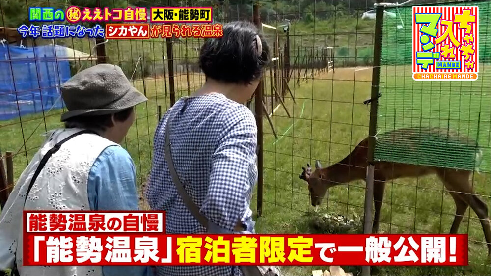『ちゃちゃ入れマンデー』（7月14日OA）「能勢温泉」宿泊者限定で一般公開