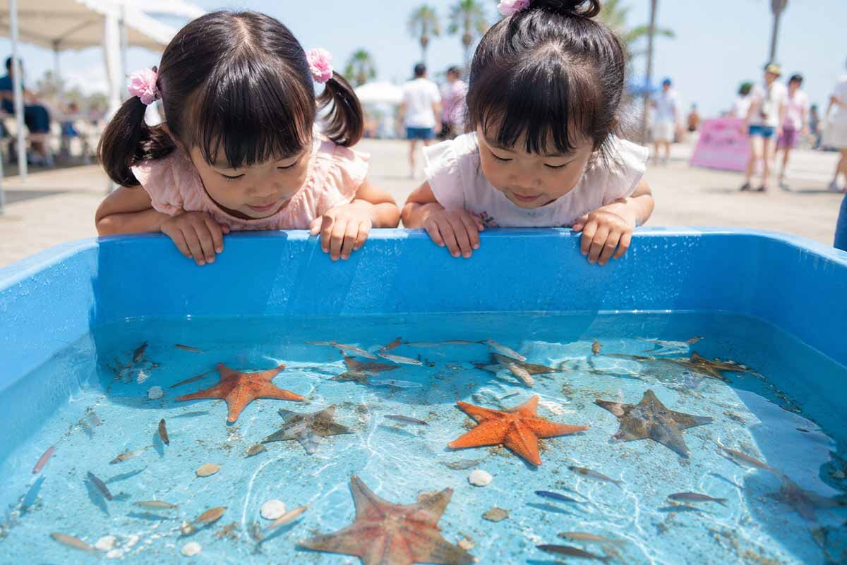 海の生きものたちとふれあえる体験型コンテンツ「移動水族館」（15分300円）