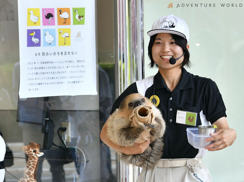 パルマワラビー飼育担当のアニマルエデュテイナー、太田真梨佳さん 