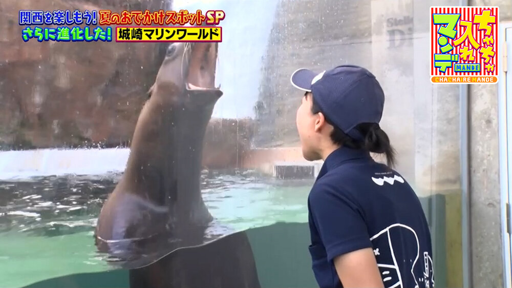 『ちゃちゃ入れマンデー』（8月4日OA）トドのハマちゃん