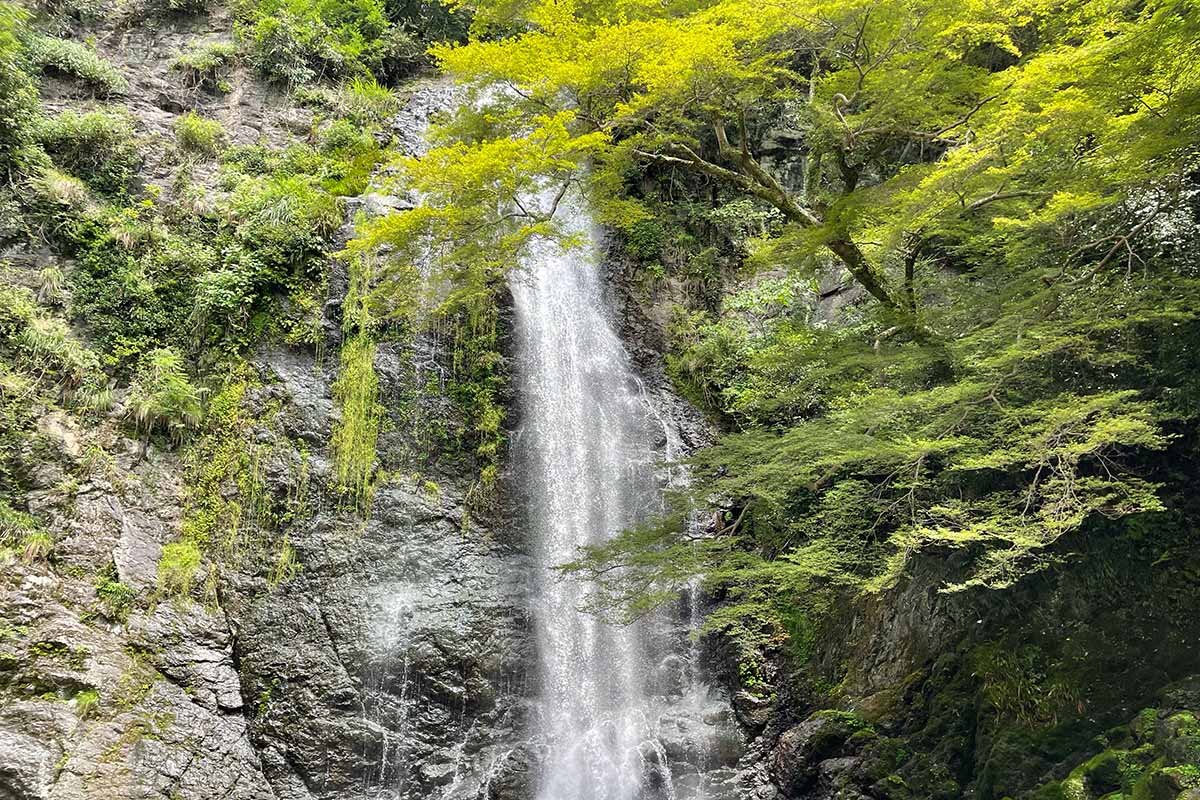 四季折々の表情を見せる観光名所・箕面大滝（撮影：2023年7月）