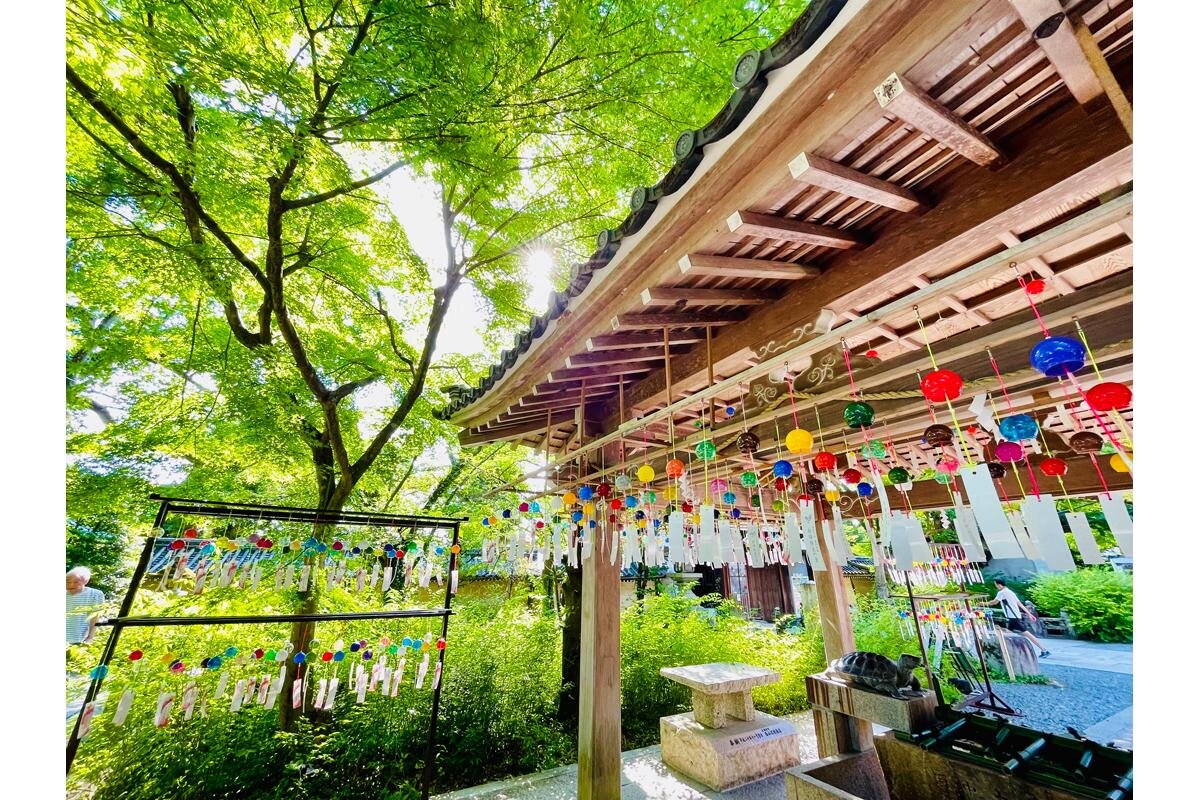 境内のあちこちに800個の風鈴が飾られます「松尾大社」（京都市西京区）