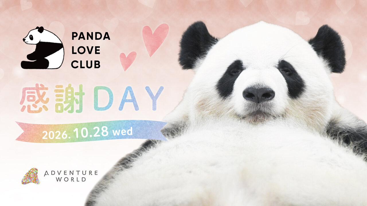 10月28日に開催されるアドベンチャーワールドの特別イベント「PANDA LOVE CLUB 感謝DAY」
