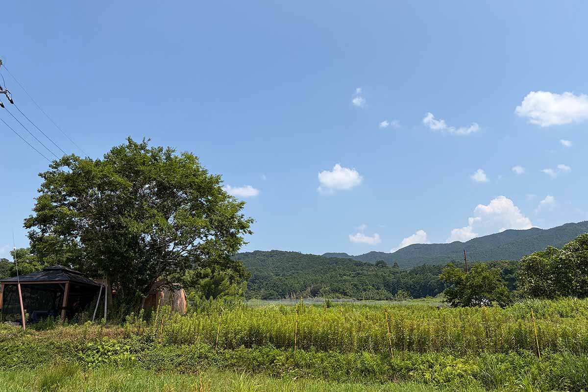 「ひるさいど飛鳥」の風景