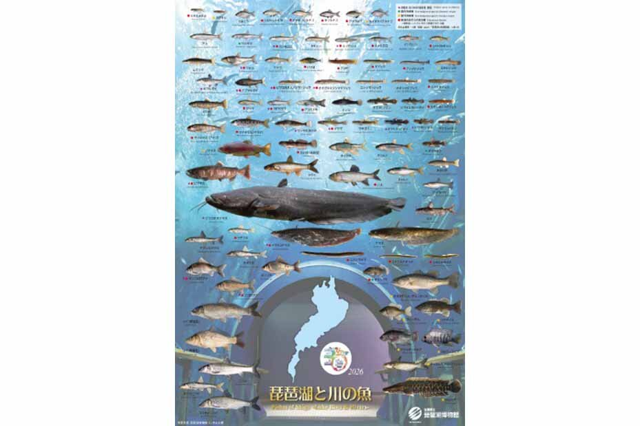 新しくなったお魚ポスター