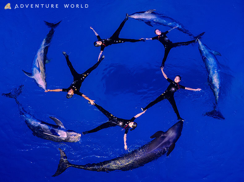 イルカ・クジラたちとトレーナーの圧巻のパフォーマンス