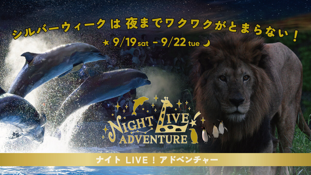 『シルバーウィーク ナイトLIVE！アドベンチャー』
