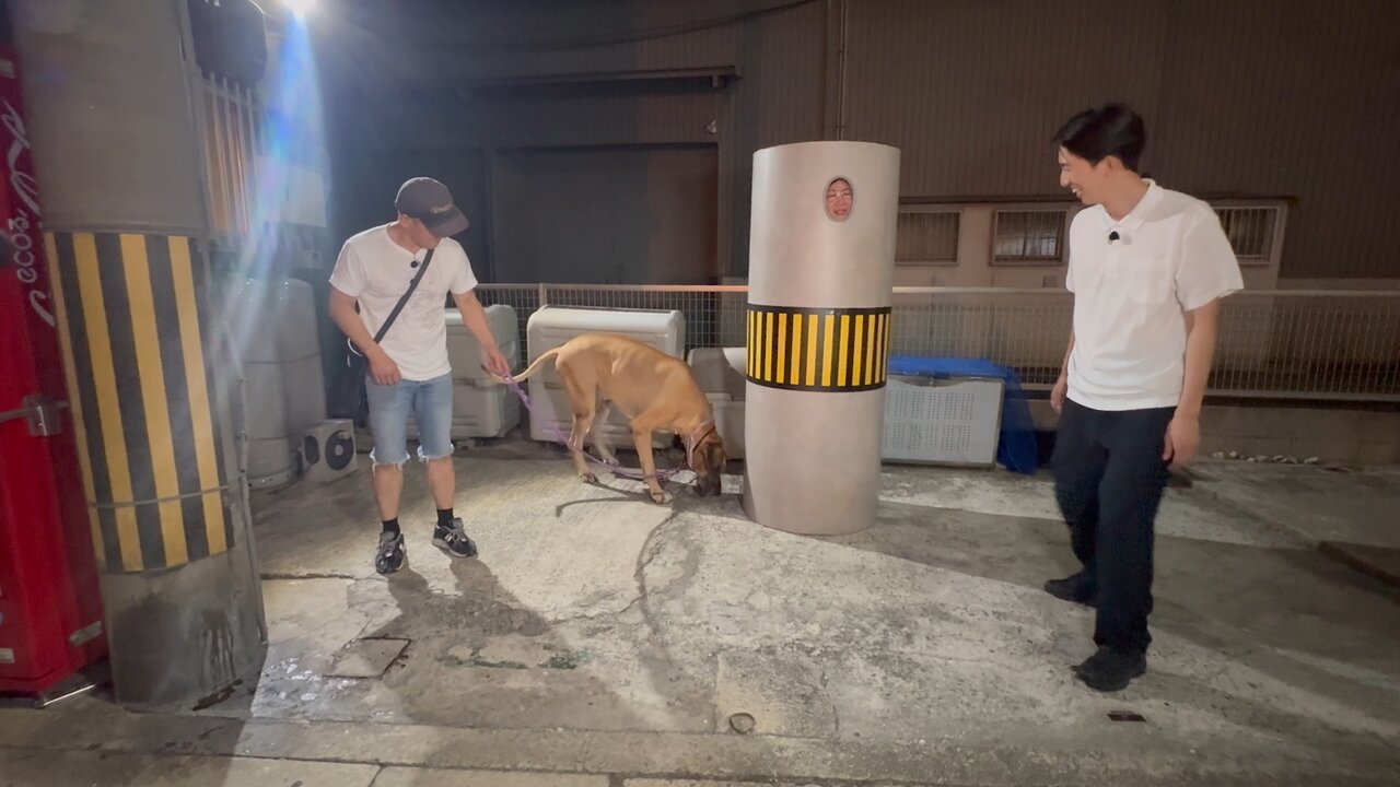 真輝志