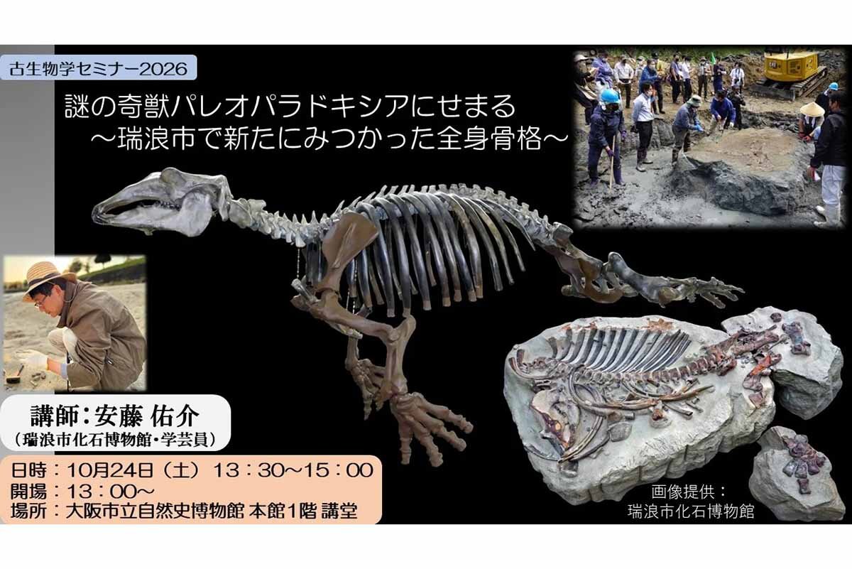 カバのようでカバでない絶滅哺乳動物「パレオパラドキシア」について講演