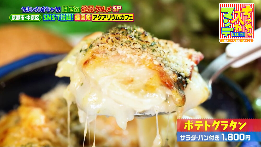 『ちゃちゃ入れマンデー』（9月22日OA）「ポテトグラタン（サラダ・パン付き）」（1,800円）