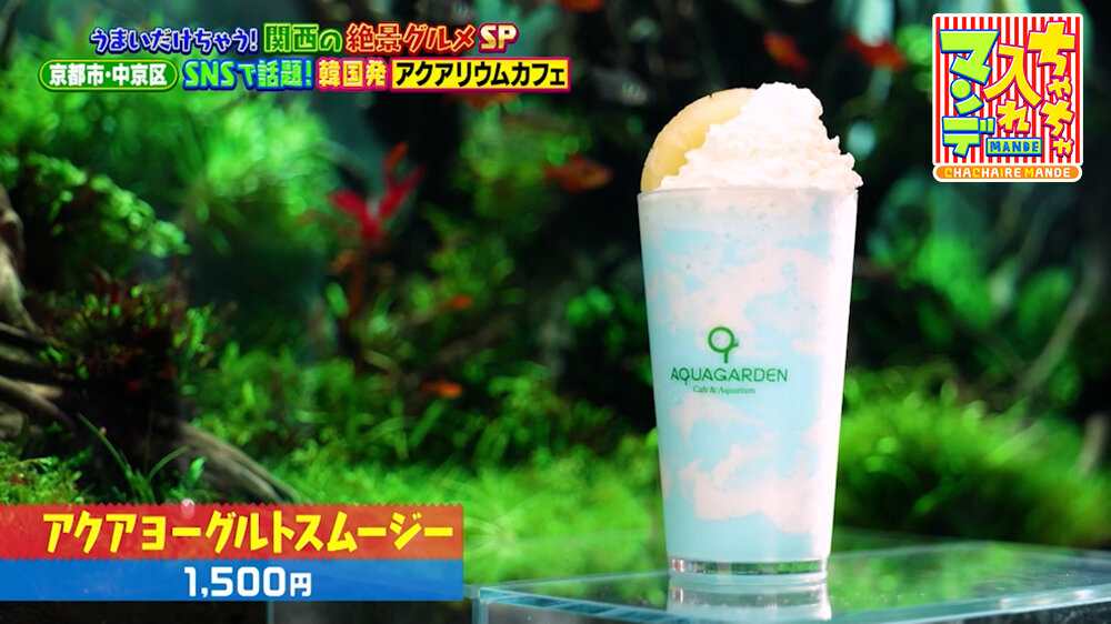 『ちゃちゃ入れマンデー』（9月22日OA）「アクアヨーグルトスムージー」（1,500円）