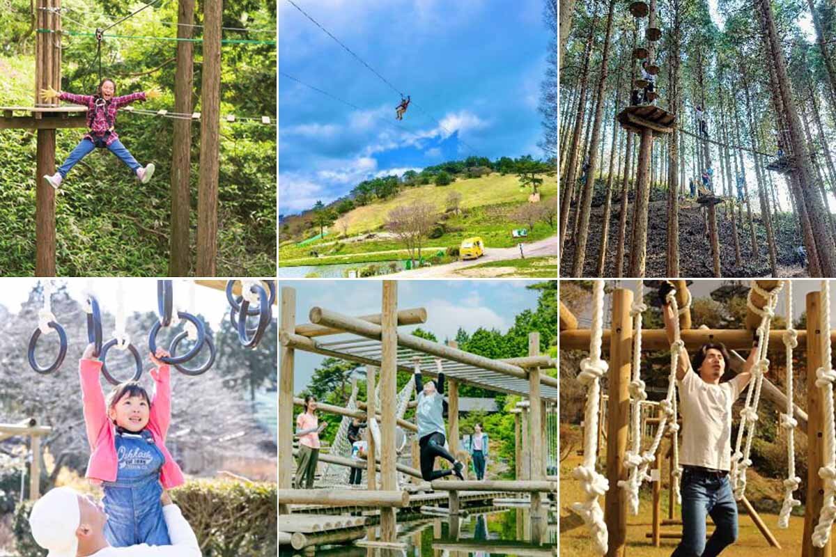 「六甲山アスレチックパークGREENIA（グリーニア）」のさまざまなアスレチックポイント