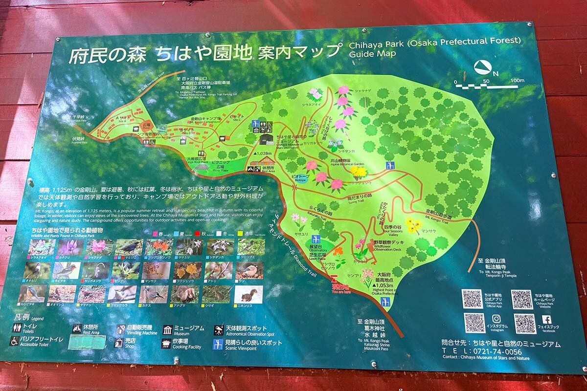「府民の森 ちはや園地」の園内マップ（2026年9月、千早赤阪村）