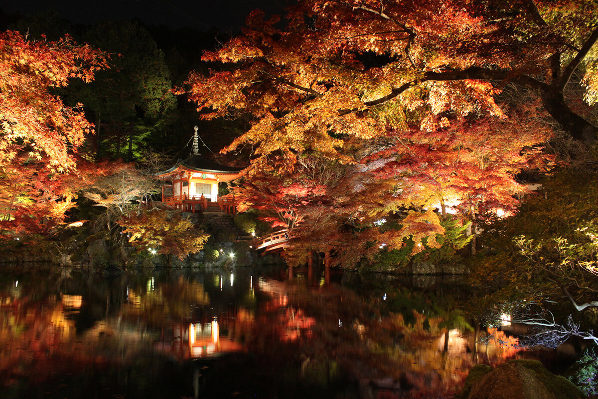 紅葉と朱塗りの「弁天堂」が池に映る美しい景色が楽しめます「醍醐寺」（京都市伏見区）