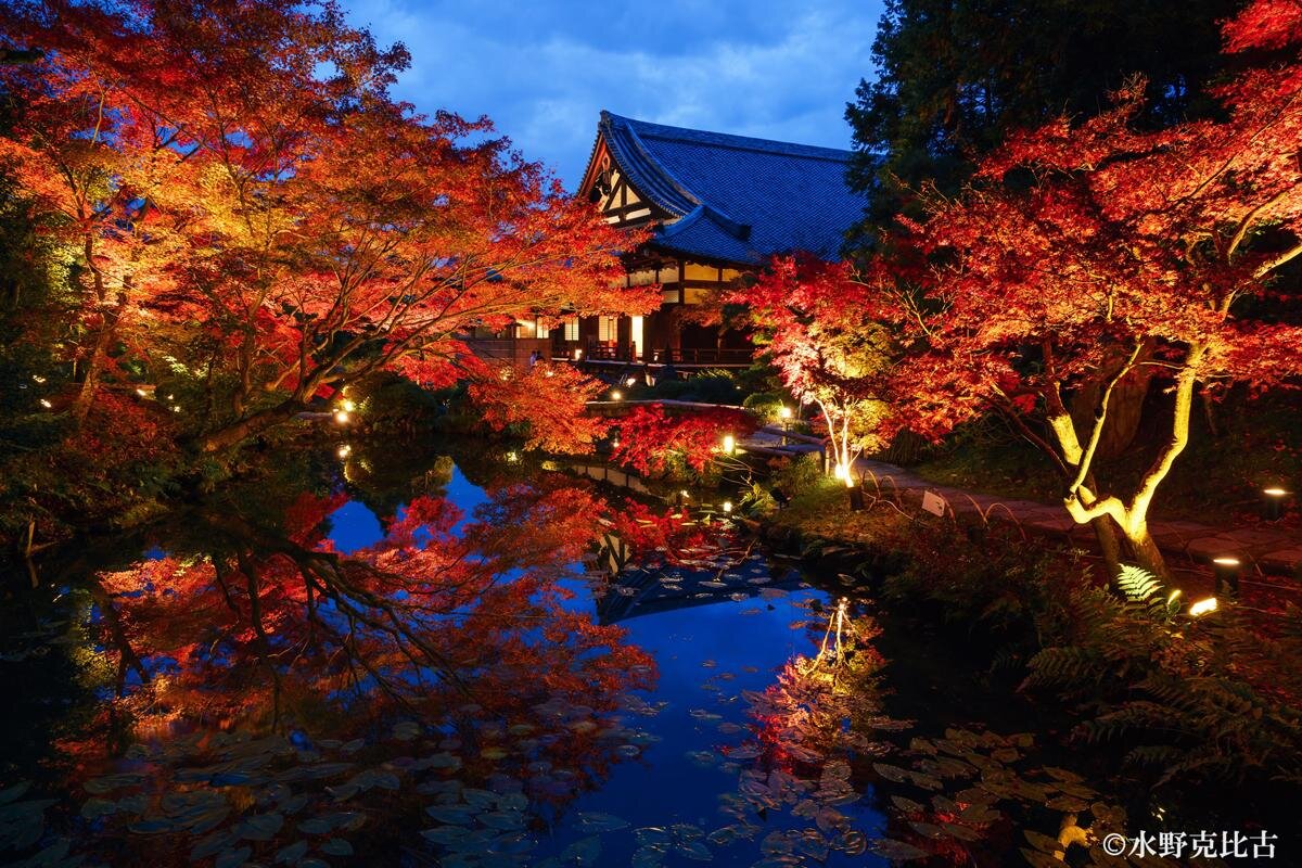 回廊式庭園「紫雲の庭」／「くろ谷 金戒光明寺」（京都市左京区）